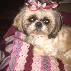 Meet your Posher, Beverly